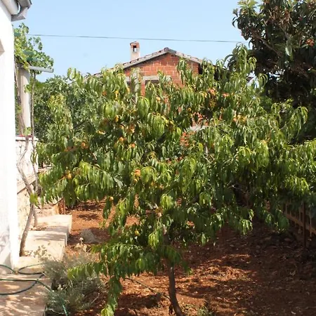By The Sea Zdrelac, Pasman - 8046 Apartment Ždrelac